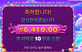 보난자 １０스핀 후기