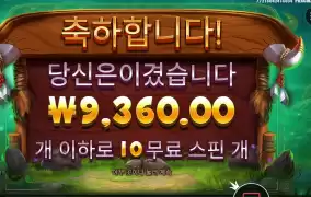 릴리즈 더 바이슨