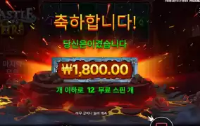 캐슬 누나 이건 좀