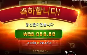 포춘에이스 58천원