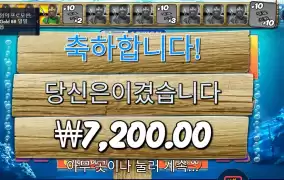 보난자 １０스핀