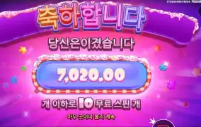 파워넛지 10스핀