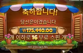 커피와일드 439배