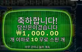 미션 피쉰 １천원