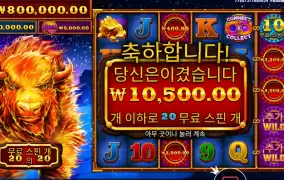 파이어 스탬피드 20바퀴