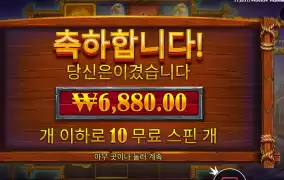 버팔로 킹 10스핀