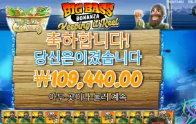 빅 배스 보난자 ５４７배