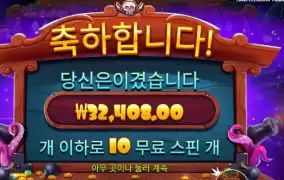 스카이 바운티 162배