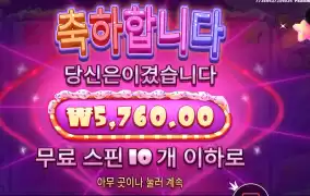 슈가러시 1000 후기