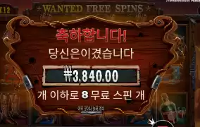 더 와일드 갱 8스핀