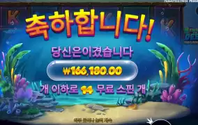 비웨더딥 5겜블