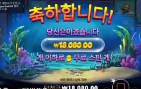 상어잡기 이거 맞아??