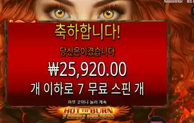 핫 투 번 7스핀 후기