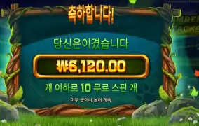 팀버 스택스
