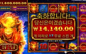 파이어 스탬피드