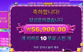 보난자 １０００ 후기
