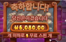 와일디즈 6천원