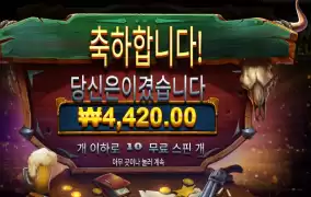 와웨두 고정와일드 픽