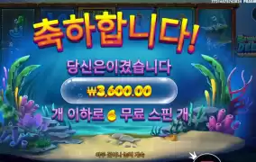 비웨더딥 겜블 대 실패