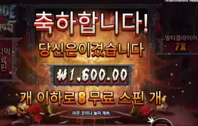 블팽 8바퀴 돌린 후