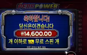 피크 파워 센세인데