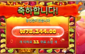 주시 후르츠 멀티홀드 １１스핀