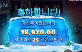 예티 ２５스핀 후기