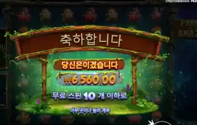 후루츠 오브 더 아마존