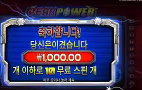 피크파워 ２콩 배팅