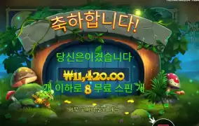 팟 오브 포춘 11천원 겟