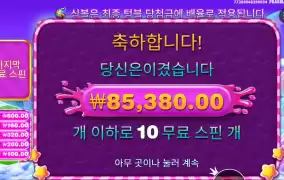 스위트보난자 1000 213배