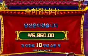 팻 판다 스탠다드