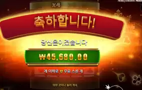 포춘에이스 228배