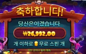 스카이바운티 8스핀