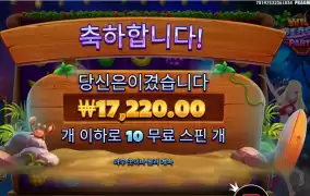 와일드 비치 파티