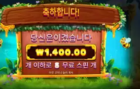 3 버징 와일드 4콩 배팅