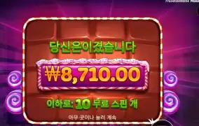 스위트 파워넛지 10바퀴