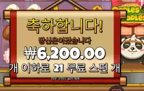 우들즈 오브 누들즈 21바퀴