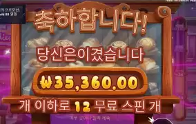 본진치기 와일디즈