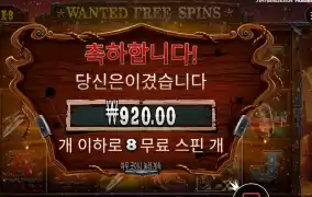 더 와일드 갱 후기