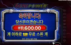 피크파워 12스핀