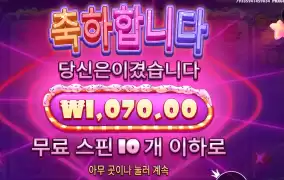 슈가러시 1000 후기