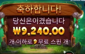 릴리즈 더 바이슨 ９스핀