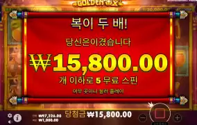 황금소 바닥이 형편없어