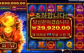 파이어 스탬피드 １５０배