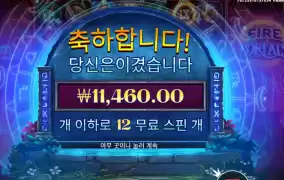 파이어 포탈 １２스핀