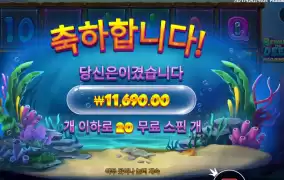 비웨더딥 1겜블 패 3겜블 승