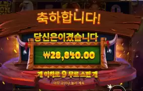 와일드 바이슨 차지 144배