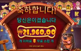 개집 멀티홀드 22천원