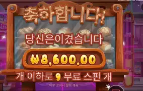 와일디즈 8천원